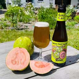 Guava beer bottle and glass with guava