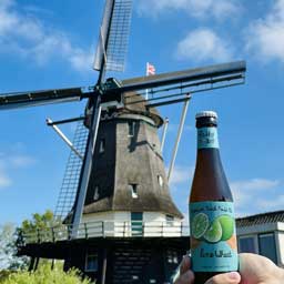 Lime Wheat beer bottle in front of Dutch windmill