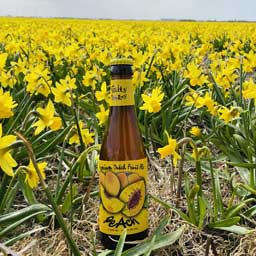 Peach beer bottle in front of a yellow flower field