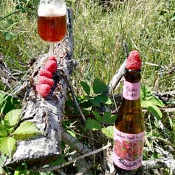 Raspberry beer bottle and glass with food