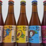 A fruity-fresh batch of five brightly coloured bottles beer.