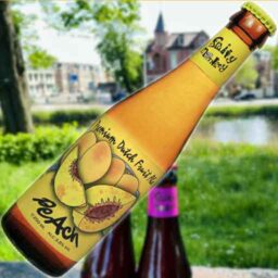 A bottle of Peach 'Fruity Monkey Beer' in front of a blurred summer scene.