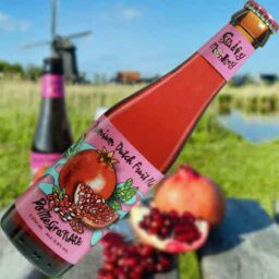 A bottle of Pomegranate 'Fruity Monkey Beer' in front of a blurred summer scene.