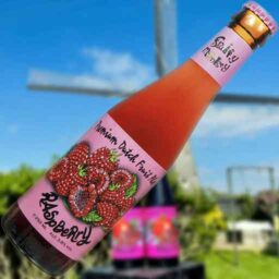 A bottle of Raspberry 'Fruity Monkey Beer' in front of a blurred summer scene.